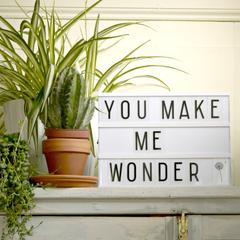 A Little Lovely Company Home & Accessories