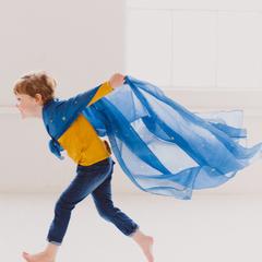 Sarah's Silks Toys & Dress-up