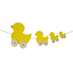 Here Come the Ducks - Newborn Card - Little Citizens Boutique
 - 2